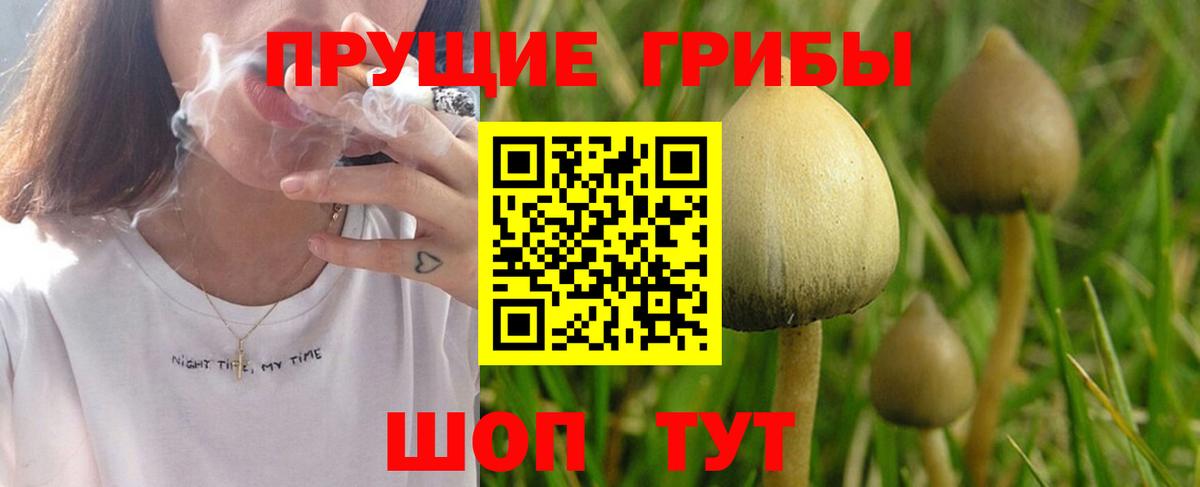 Галлюциногенные грибы MAGIC MUSHROOMS  Псилоцибиновые грибы MAGIC MUSHROOMS  Вход с VPN  Элиста 